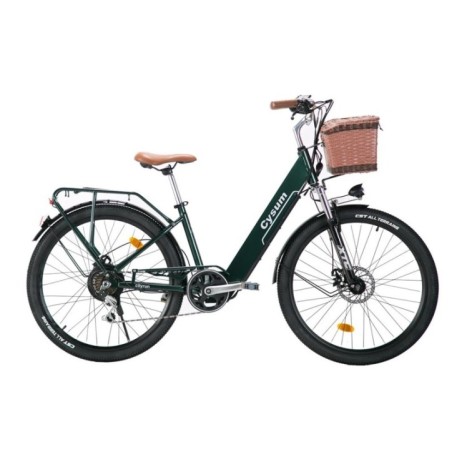Bici elettrica 26" 250W 7S Motore rimovibile con batteria al litio Pedalata assistita con cestino portabagagli Urbano unisex
