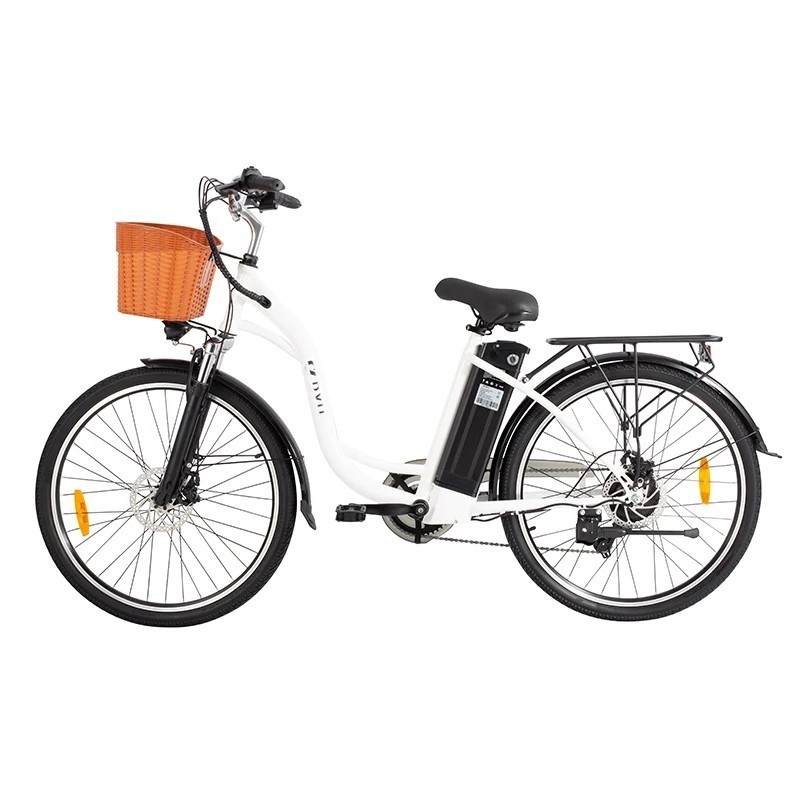 Bici elettrica DYU C6 26 pollici 250 W 36 V 12,5 Ah Batteria al litio rimovibile Classic Retro Ausiliaria per moto urbana