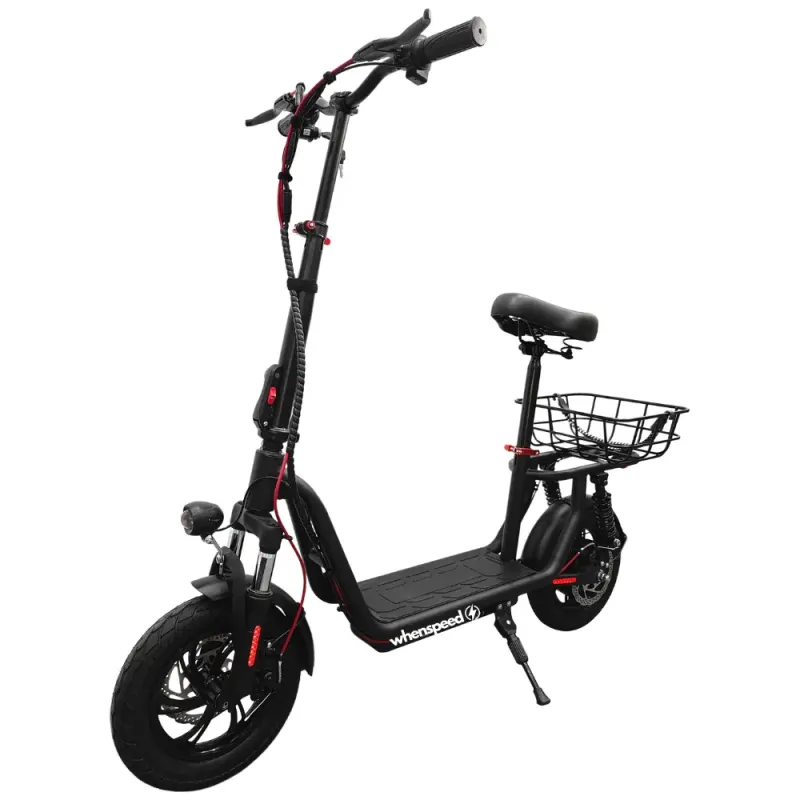 E-Flow bici elettrica