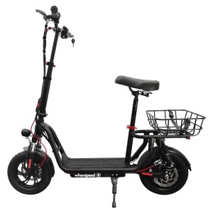 Elektrofahrrad E-Flow Motor 500W