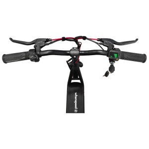 Bicicletta elettrica E-Flow con motore da 500W