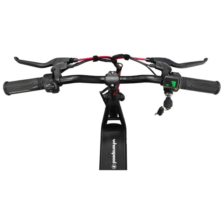 E-Flow elektrische fiets met 500W motor E-Flow elektrische fiets met 500W motor