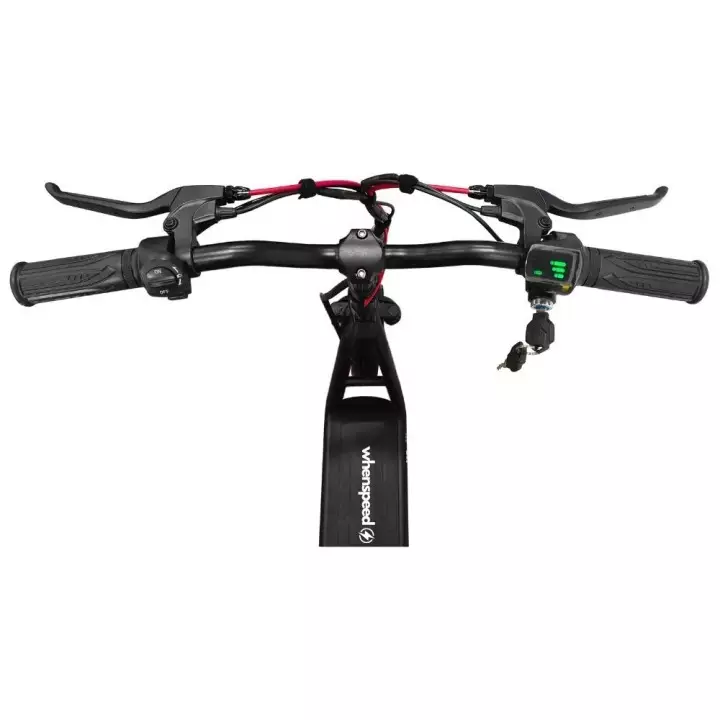 E-Flow elektrische fiets met 500W motor E-Flow elektrische fiets met 500W motor