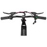 Bicicletta elettrica E-Flow con motore da 500W