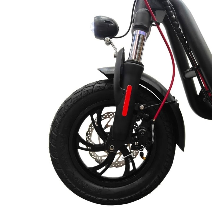 Bicicletta elettrica E-Flow con motore da 500W