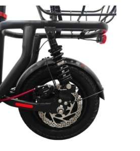 E-Flow elektrische fiets met 500W motor