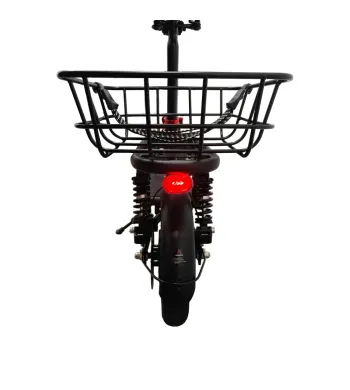 Elektrofahrrad E-Flow Motor 500W Whenspeed - 6