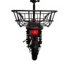 Bicicletta elettrica E-Flow con motore da 500W