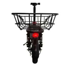 Vélo électrique E-Flow moteur 500W