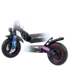 EverCharge scooter elettrico 600W 48V 12,5Ah velocità massima 25 km/h autonomia 45km colore nero