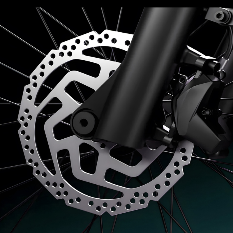 Nemo by Whenspeed - Elektrofahrrad 750W - 50 km/h | Reichweite 60 km | Batterie 48V 7.8Ah
