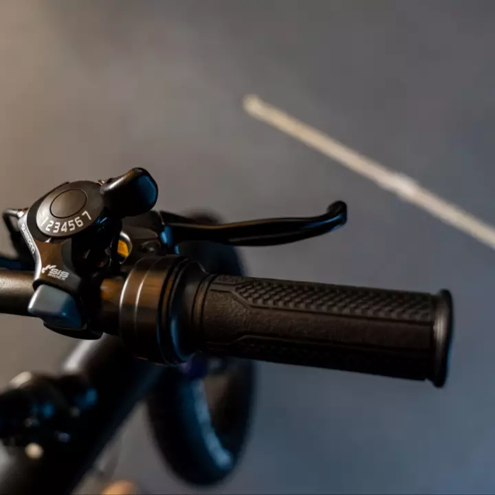 Nemo by Whenspeed - Bicicletta elettrica 750W - 50 km/h | Nemo by Whenspeed - Bicicletta elettrica 750W - 50 km/h |