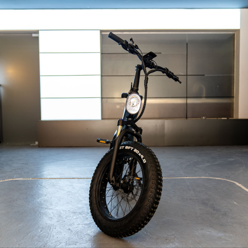 Nemo by Whenspeed - Elektrofahrrad 750W - 50 km/h | Reichweite 60 km | Batterie 48V 7.8Ah