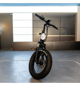 Nemo by Whenspeed - Bicicletta elettrica 750W - 50 km/h | Autonomia 60 km | Batteria 48V 7,8Ah