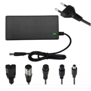 Chargeur d'équilibre pour Scooter électrique 42V/54.6V 2a, adaptateur d'alimentation universel pour batterie au Lithium 36 25.2V