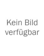 Elektrischer Tretroller
